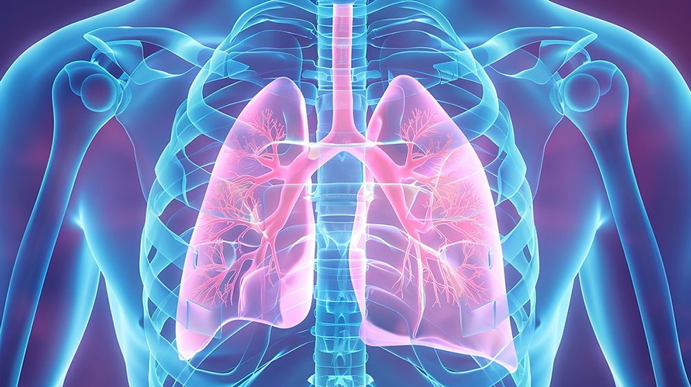 Airway Mucus and Symptom Support 